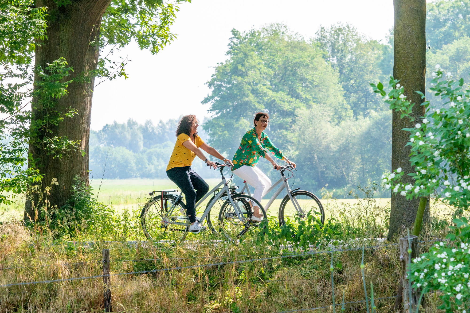 FietsenHotels In De Achterhoek | Fietsen In De Achterhoek